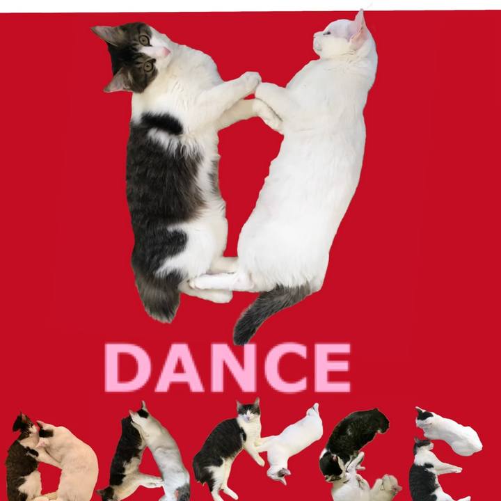 B9e0cba8 96b2 4c7d a31e 0cc9f44e2e01 1668293230560