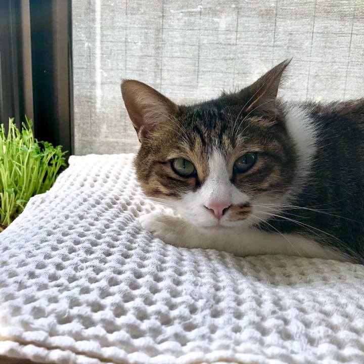 B9e0fa0d 4be1 463b a8c2 6121132ec602 1522127523287