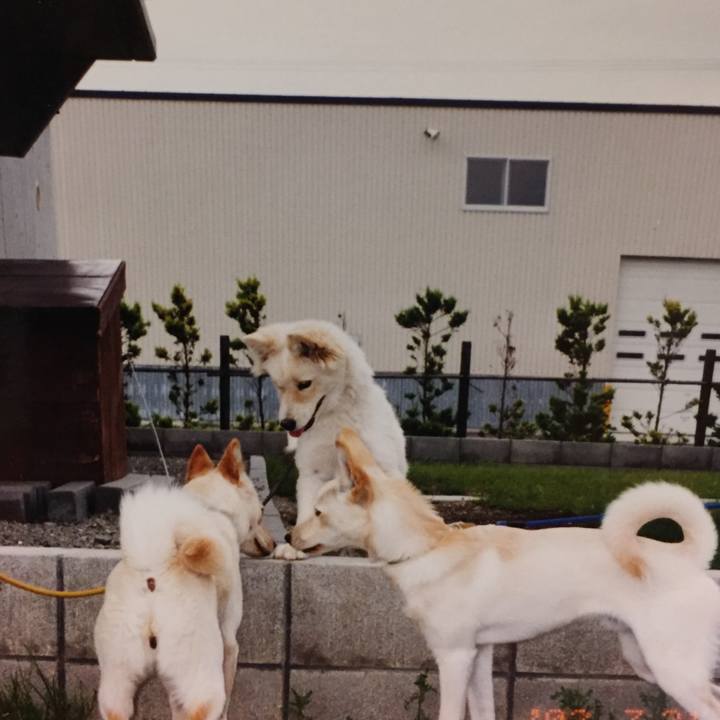 B9e1291a f09e 4416 99ff 3ae42121a02f 1523777612014