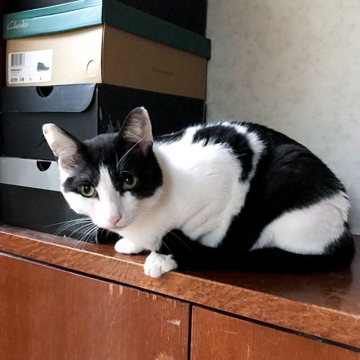 B9e19dff 82b0 4505 80df 60447b5869fe 1529030848834