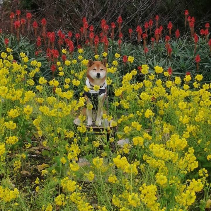 B9e1b4f6 d9de 43e9 b064 081d177f5a95 1674042648224