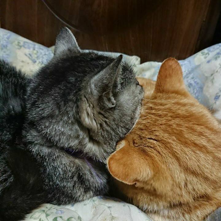 B9e222a8 98c2 4283 a412 51e5e5819268 1582806498199