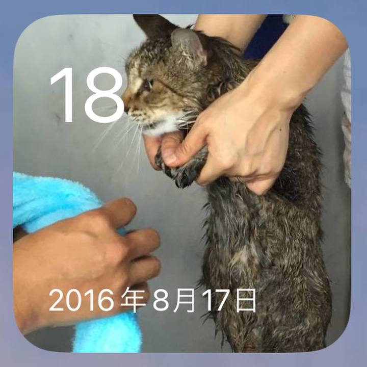 B9e22c0d 5e27 4b07 9f91 685a2448e9f7 1692325133967