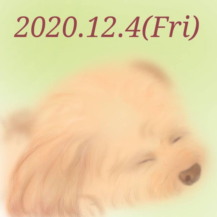 B9e275df bf97 4a45 a895 6c01e11bce1a 1607084922451