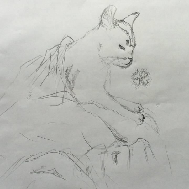 B9e2b2e7 55a8 4219 9de8 10fda2bce4ac 1569633626229