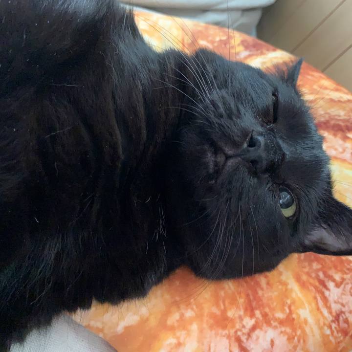 B9e2cc32 27c7 41d3 8f97 77ddded11bd8 1563405549842