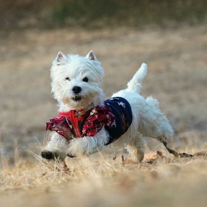 B9e2d947 f6c1 4f8b 8b23 fc95957889eb 1514545509011