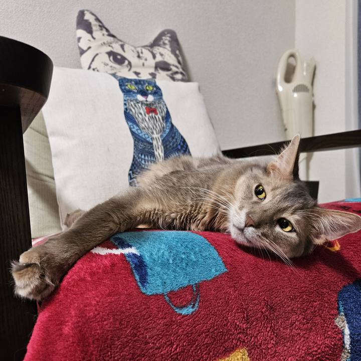 B9e2e5be c6d4 45f9 8280 e28b1e3a0755 1705808019814