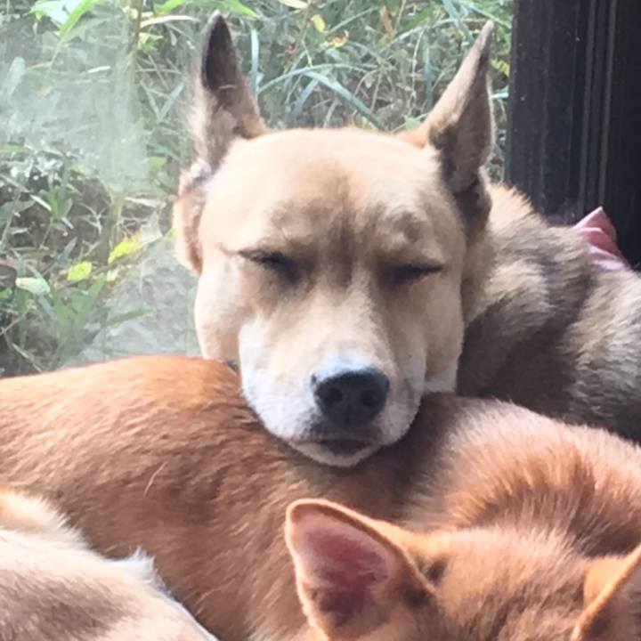 B9e32a74 7f27 4823 81dc faa36a5d9003 1513390191800