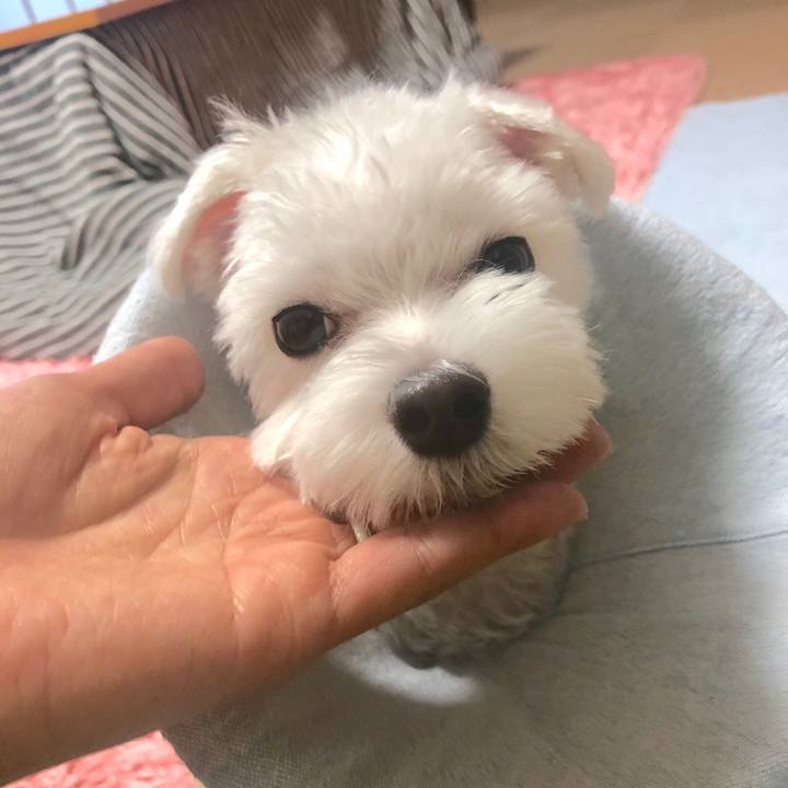 B9e337ce 3a7c 4594 8f06 80821a38ee14 1542603545165