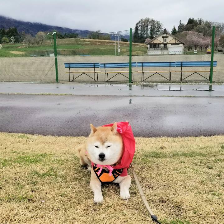 B9e358ac 6b74 45d1 9a5c b3368ec1e871 1681277985949