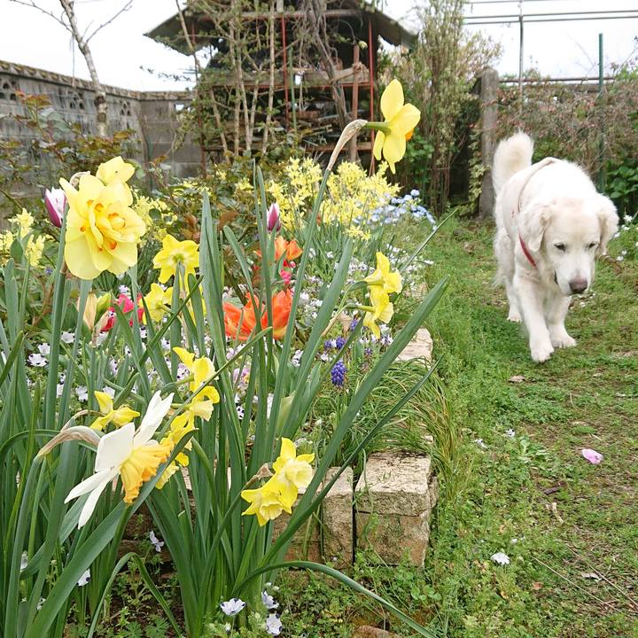 B9e38985 d6f6 4bd2 b29c 24e53e04adc2 1585492150831