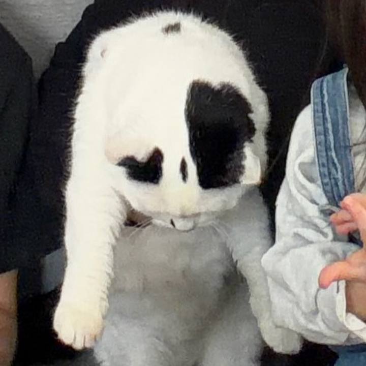 B9e3d3a7 1281 4169 8ba7 a971084a34f6 1771823946051