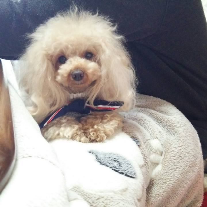 B9e3d9a1 434b 4813 9a13 7812a8694712 1515376036381