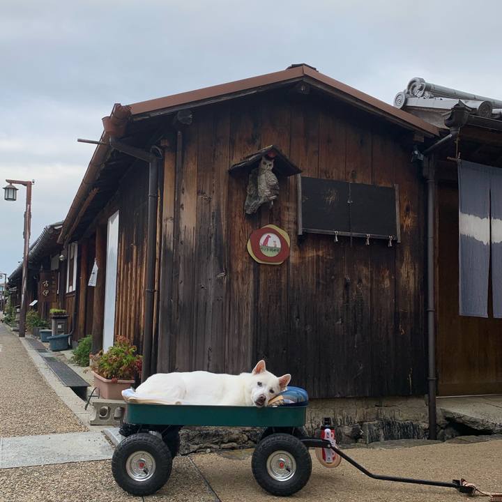 B9e4033a 067f 499d b0a9 fa94b3cab482 1570317494636