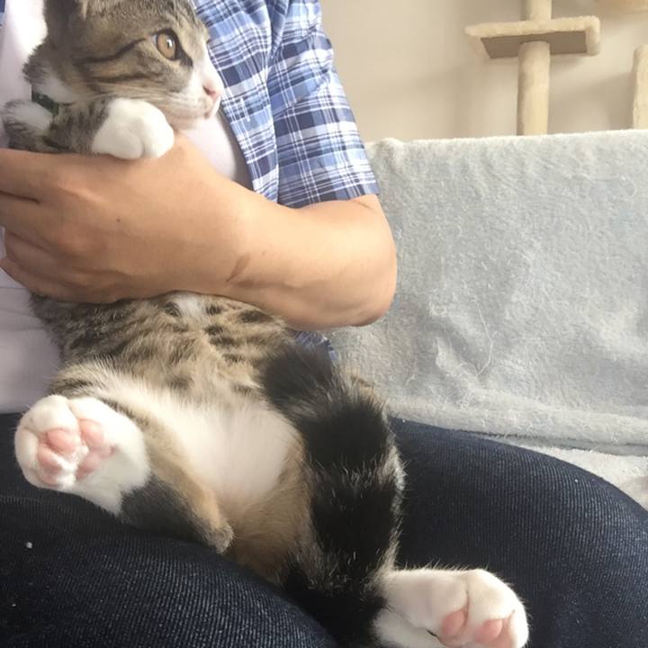 B9e43f4f 6412 450e b8f9 b88f04c44360 1659869144784