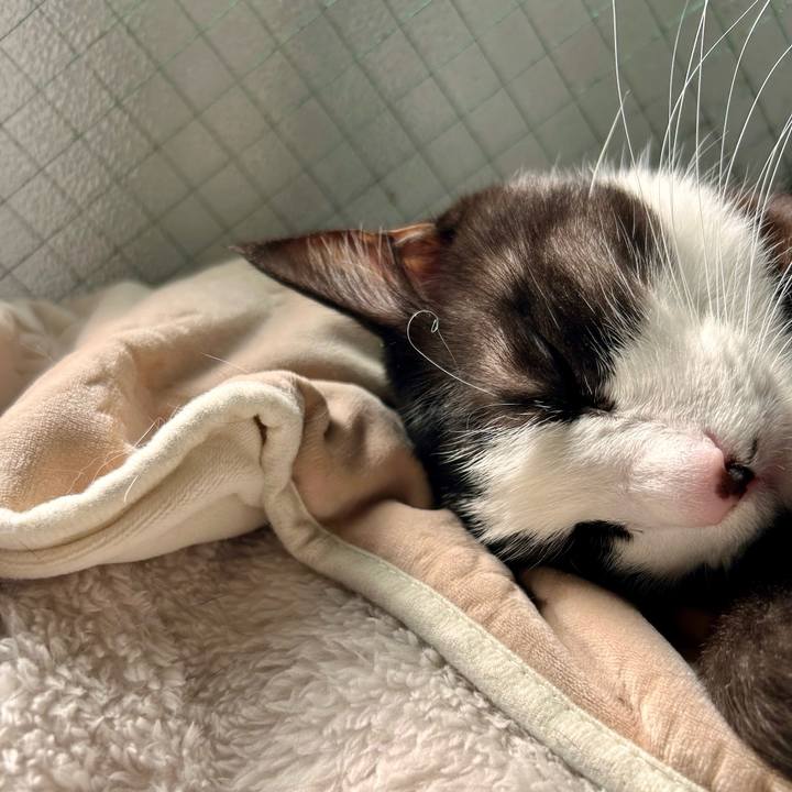 B9e46f80 c3f1 4199 80c9 2dd25159b6bc 1732681936258