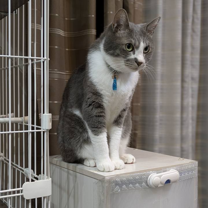 B9e4932f ddd8 47d8 a697 857241d6293f 1755396324267