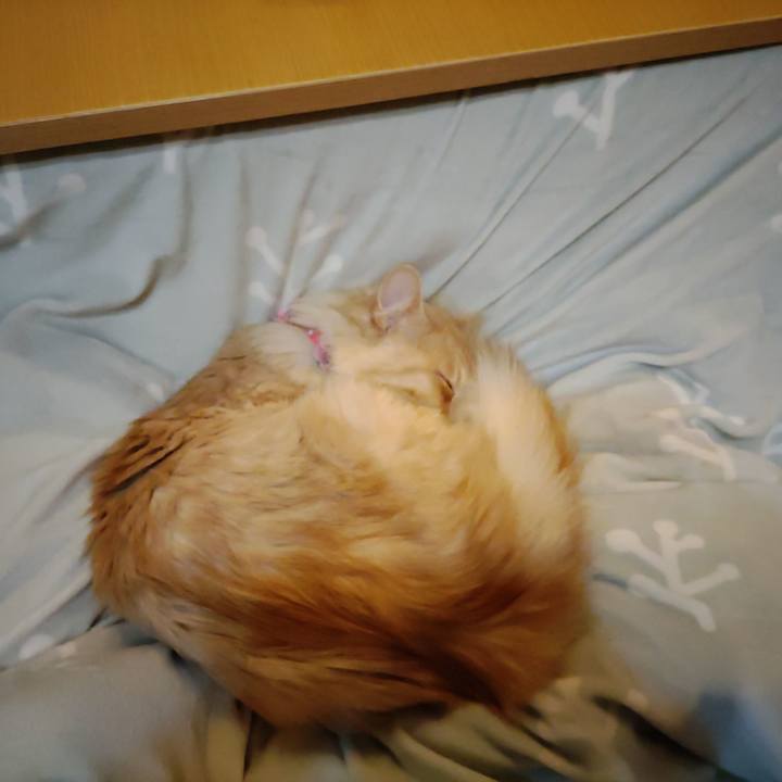 B9e4bf4f b6e8 4c97 9224 fad90baa11c1 1669465871643