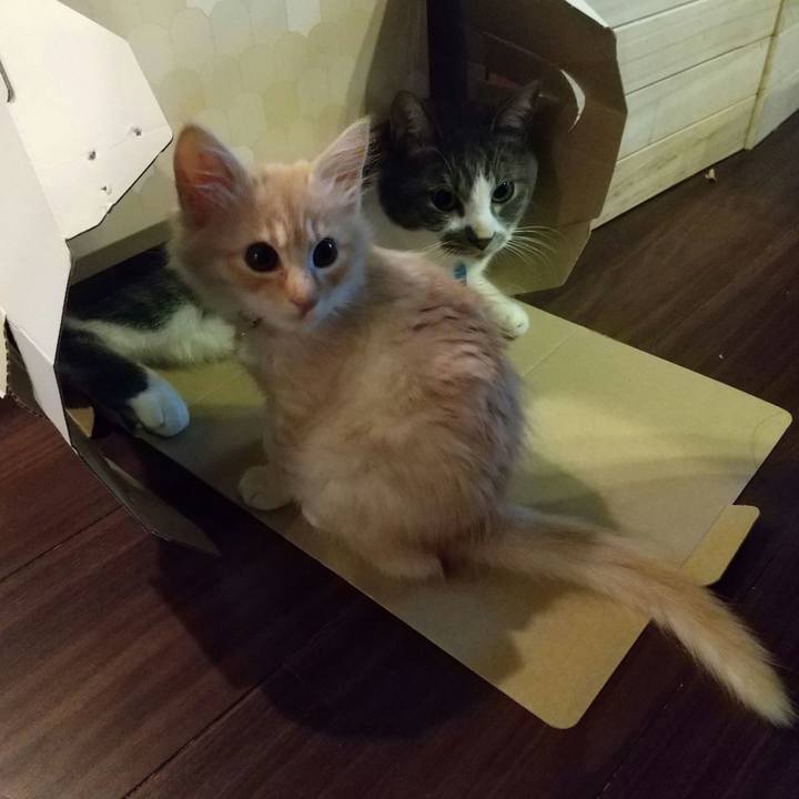 B9e4c9b7 ca60 41f8 8dbb 9ebb0640a333 1604438475278