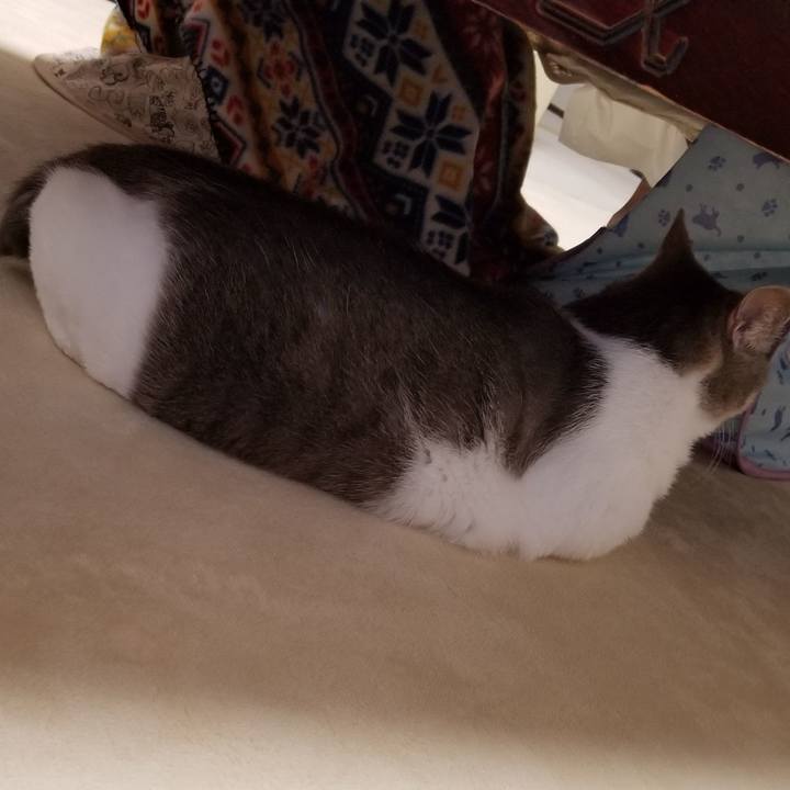 B9e4d249 514c 4d96 b3c2 bedeb329aeaa 1671757121242