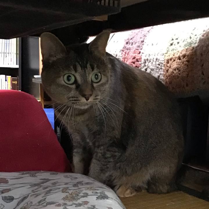 B9e4ea06 efc9 4d8d 98f0 0a45daa4e71b 1754209260757