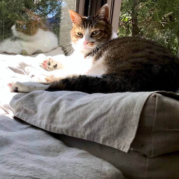 B9e5074b e00f 400f 815e fbf09a1237e3 1552568924255