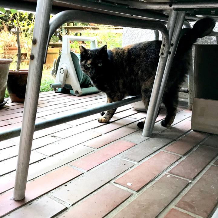 B9e50ae7 3960 46c8 b375 b7cd1f510cc6 1511492114793