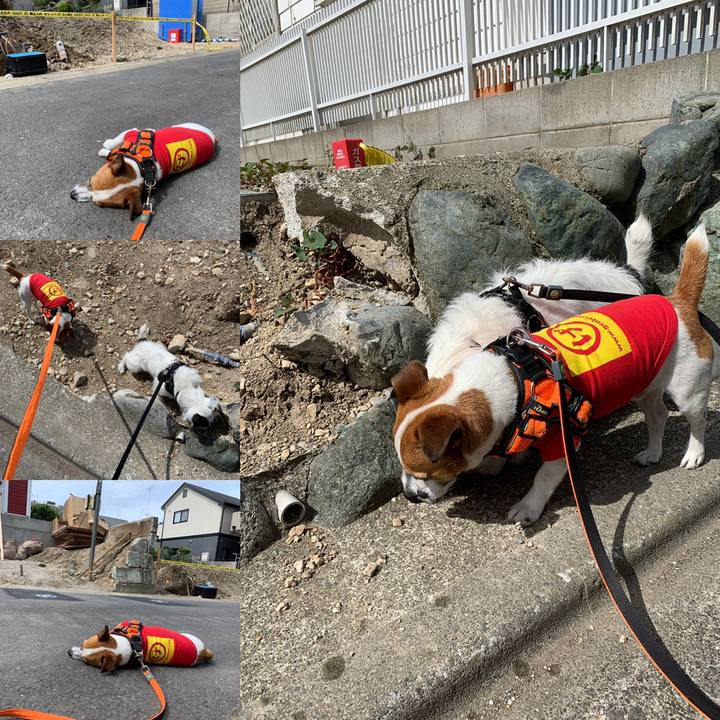 B9e52197 159f 4e3a 9d87 41d6db104cd5 1558312209110