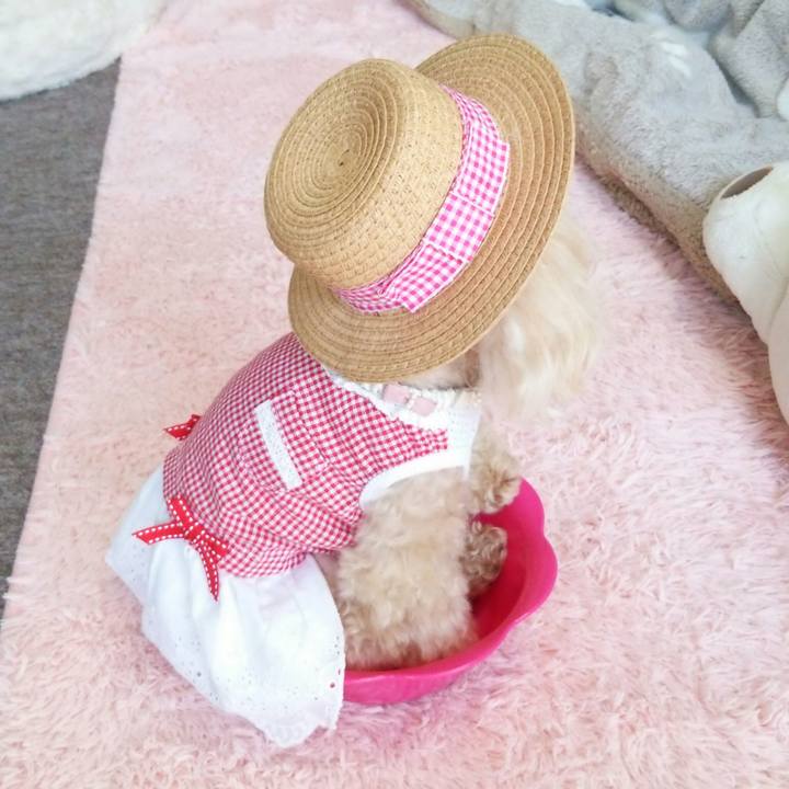 B9e54d5d b3e4 4bcd b277 46fcc2baa5db 1522237293483