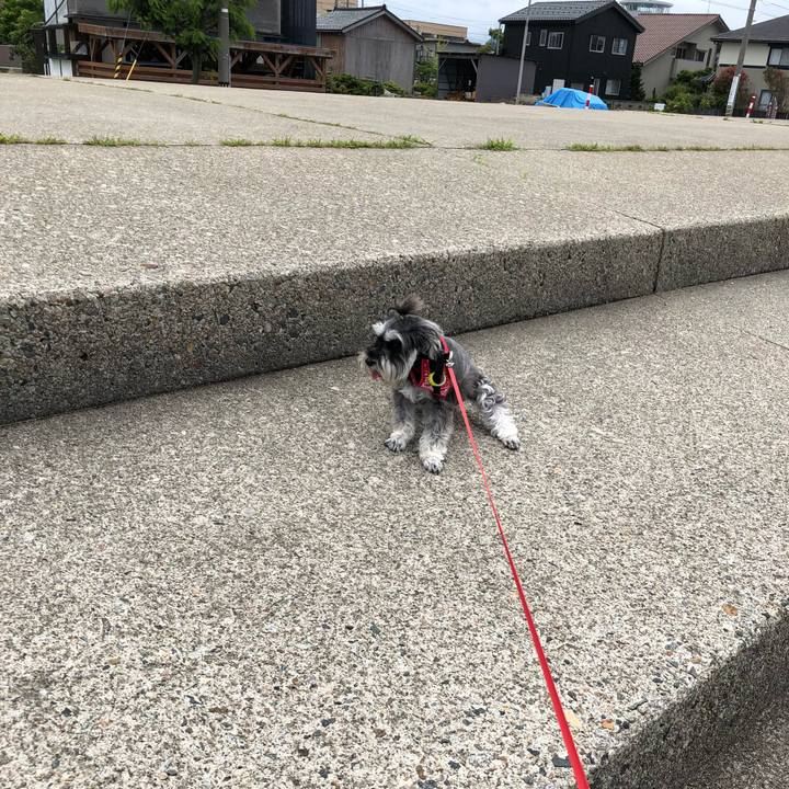 B9e57220 e3c8 408a bcba 91505ebfb180 1529195250424