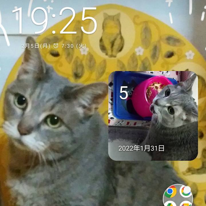 B9e58134 6ebb 49e5 a40e 2ed7c396f6c2 1707130230704