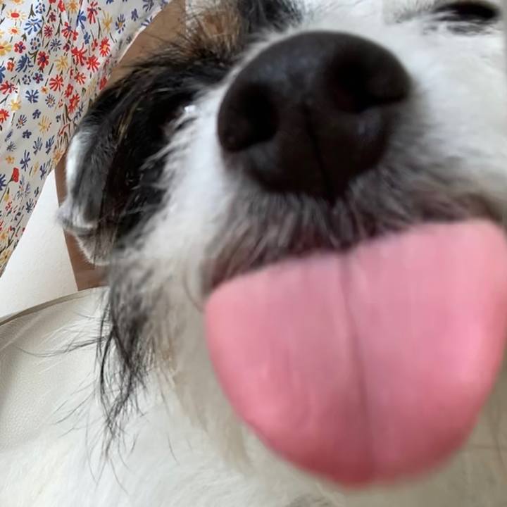 B9e59016 78bc 4499 bb2c 587737d07555 1591156743838