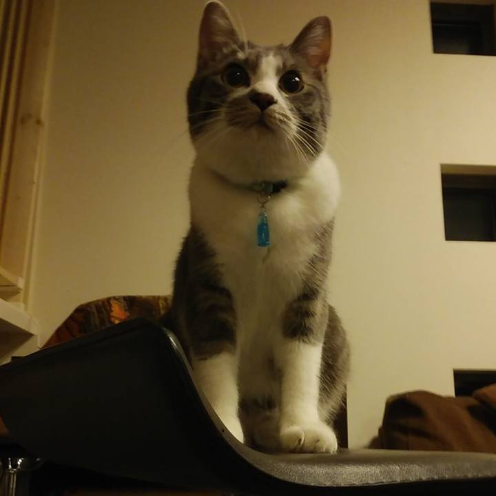 B9e59ec6 8d29 48af 87d7 da679449297d 1580653025294