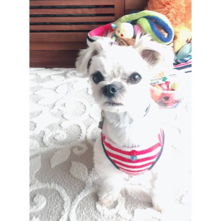 B9e60ba4 5ec8 4b5a ae04 91a1b7ecfd8f 1543737781392