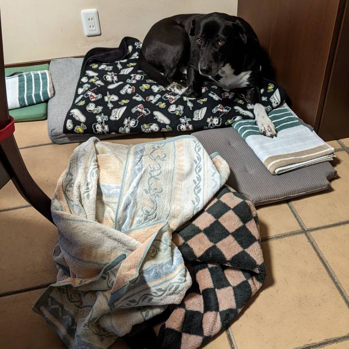 B9e629f9 075d 46b8 b634 364fb46f83de 1704676418174