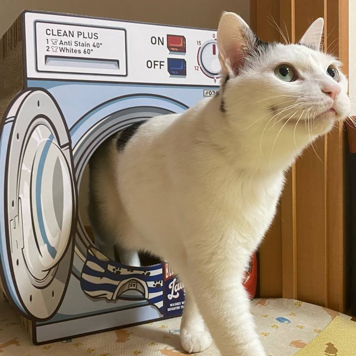 B9e644d7 ba73 47dd 9d8c 414d1294e5e0 1610677353090