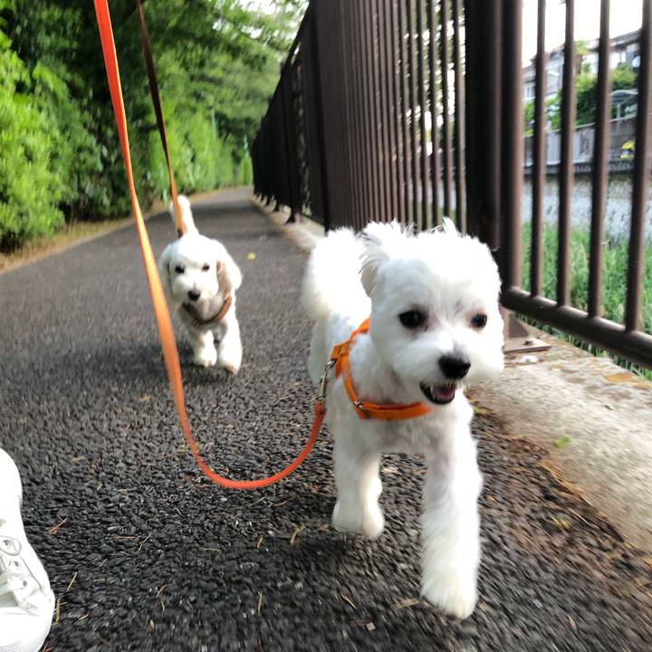 B9e64558 83e7 4b99 8ed6 446f815e91fe 1526427588257