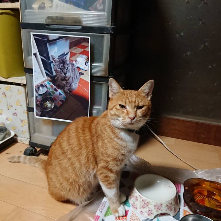 B9e65c9f 7284 4f82 b4b8 c5572428e980 1600634412350