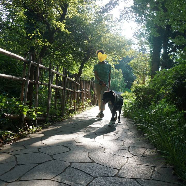 B9e6cc85 e1a6 4130 9caf 69e1386da762 1755387684442