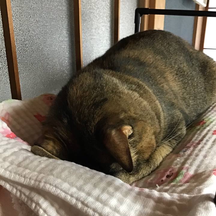 B9e6e8d3 85e5 4d84 94c0 cd89b2b008c0 1634464109492