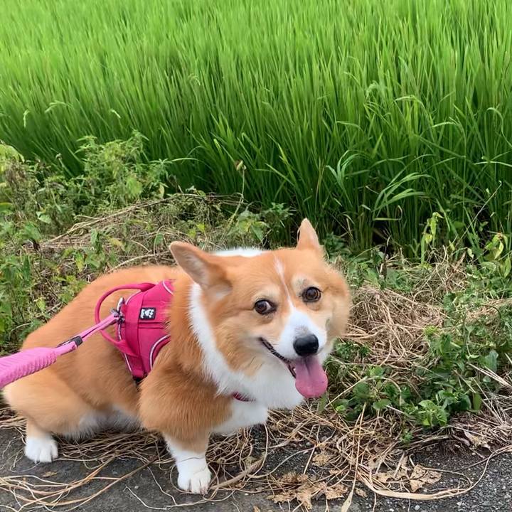 B9e6f4e1 9d9f 4d94 bad9 d0e6190955b8 1661828475049