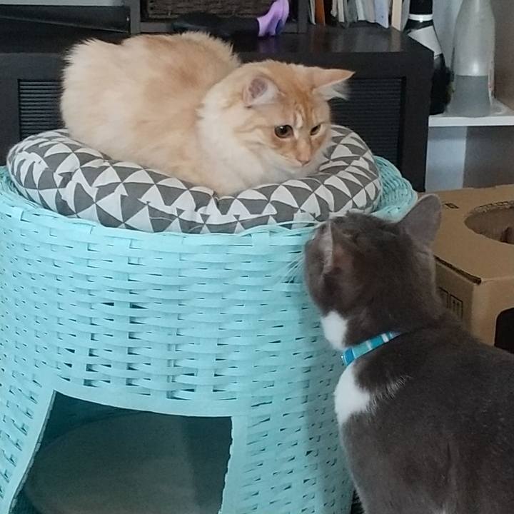 B9e70282 ee80 417b 88bf dc0edf2fc1f1 1619392424020