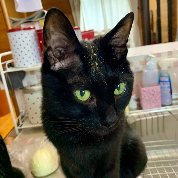 B9e71f3c 6851 4ff3 81d2 82d974b64fc9 1625643139227