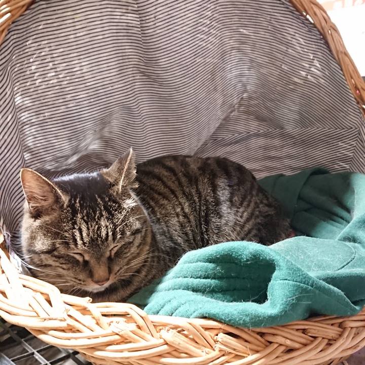 B9e72616 77b1 49e3 a4d7 82cfb2b482d9 1644325075170