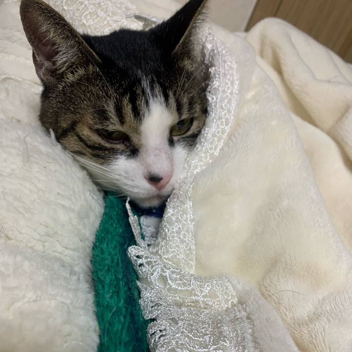 B9e740a1 1a81 4434 b869 03658bfbfb1b 1643703325859