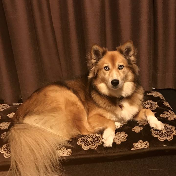 B9e752dd 2581 496c b1e7 ac24a6c70e6d 1512993495914