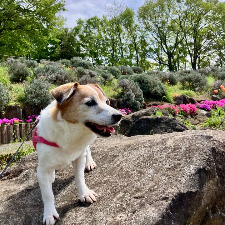 B9e76474 39dd 47fe bb31 be694e00a53d 1713584133938