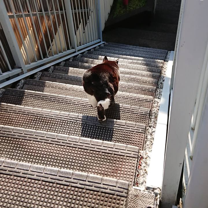 B9e7b60d 19b4 4d2f a893 85c6b04dfbef 1650324374592