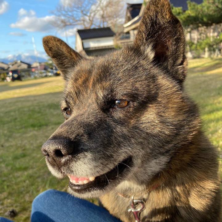 B9e7caee 4ba4 4d6a 8441 0b27ff875591 1585125747517